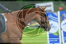 ref. photo 3613164