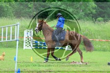 ref. photo 3613190