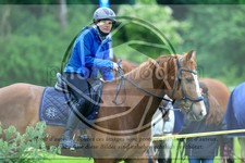 ref. photo 3613202