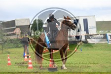 ref. photo 3613212