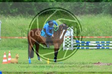 ref. photo 3613280