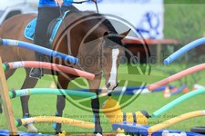 ref. photo 3613289
