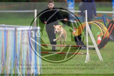 ref. photo 3613437