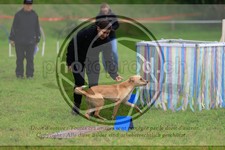 ref. photo 3613440
