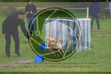 ref. photo 3613441