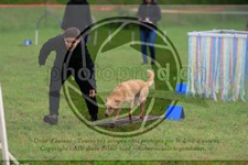 ref. photo 3613442