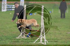 ref. photo 3613444