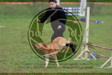 ref. photo 3613445