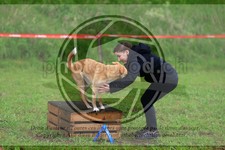 ref. photo 3613446