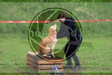 ref. photo 3613447