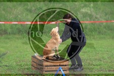 ref. photo 3613448