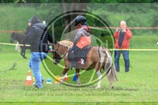 ref. photo 3613450