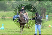 ref. photo 3613480
