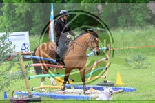 ref. photo 3613492