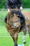 ref. photo 3613500