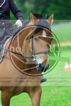 ref. photo 3613501