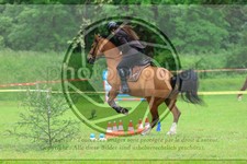 ref. photo 3613509