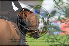 ref. photo 3613518