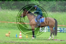 ref. photo 3613533