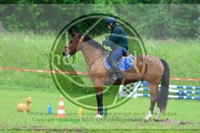 ref. photo 3613534