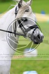 ref. photo 3613561