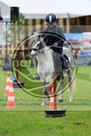 ref. photo 3613570