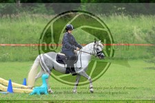 ref. photo 3613580