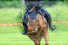 ref. photo 3613606