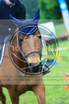 ref. photo 3613612