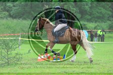 ref. photo 3613613