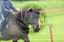 ref. photo 3613622