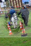 ref. photo 3613657