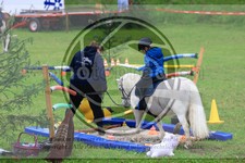 ref. photo 3613663