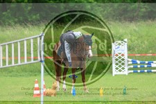 ref. photo 3613713