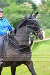 ref. photo 3613740