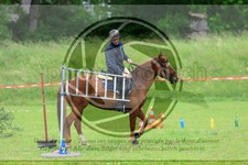 ref. photo 3613766