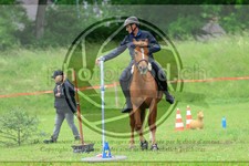ref. photo 3613784