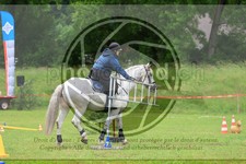 ref. photo 3613804