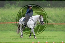 ref. photo 3613813