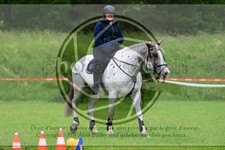 ref. photo 3613815