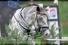 ref. photo 3613817