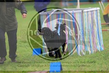 ref. photo 3613838