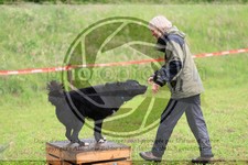 ref. photo 3613845