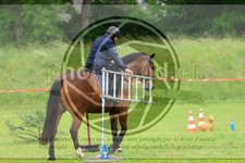ref. photo 3613858