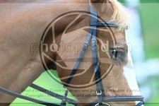 ref. photo 3613955