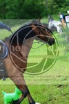 ref. photo 3613996