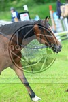 ref. photo 3614001