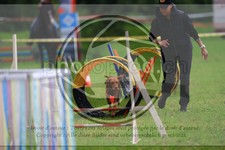 ref. photo 3614094