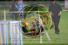ref. photo 3614095