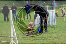 ref. photo 3614097